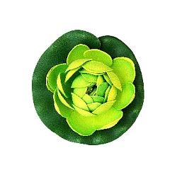 Лилия плавающая 10х10 см лайм